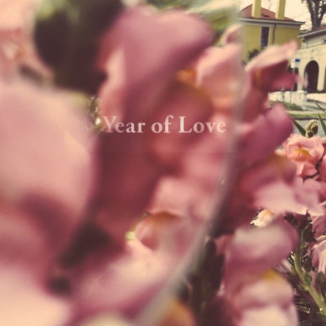 Year of Love | Boomplay Music