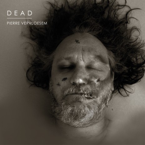 Dead Birds Again | Boomplay Music