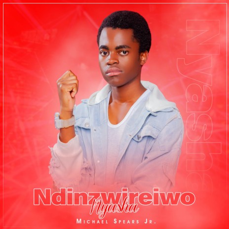 Ndinzwireiwo Nyasha | Boomplay Music