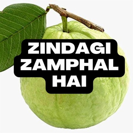 zindagi zamphal hai | Boomplay Music