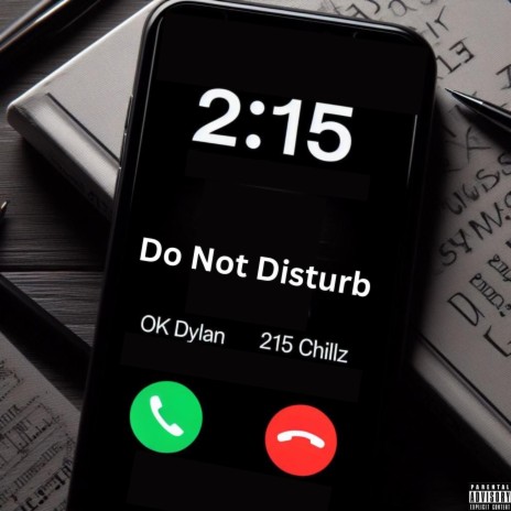 Do Not Disturb ft. 215Chillz | Boomplay Music