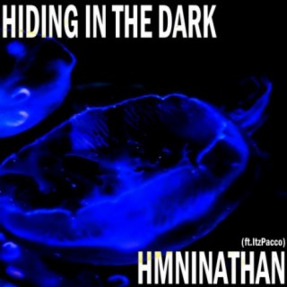 Hiding In The Dark (feat. ItzPacco)