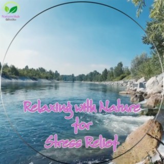 Nature Hub Relaxation