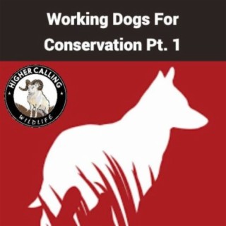 Working Dogs For Conservation (Pt. 1)