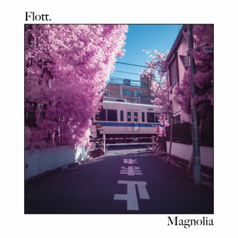 Magnolia | Boomplay Music