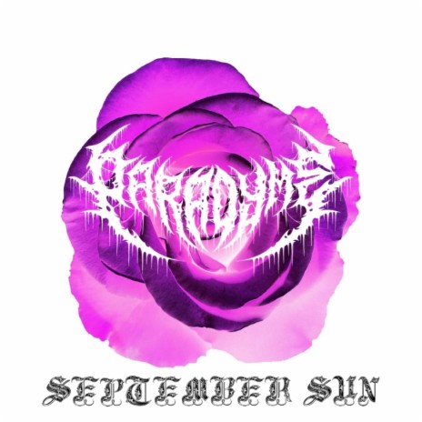 September Sun | Boomplay Music