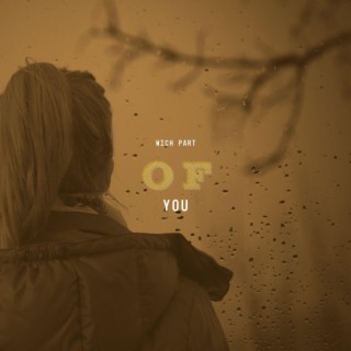 Wich part of you (Radio Edit)