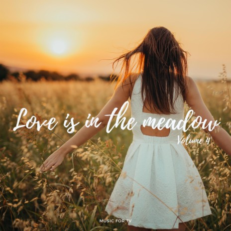 SOFT AGREEMENT (LOVE IS IN THE MEADOW 4) | Boomplay Music