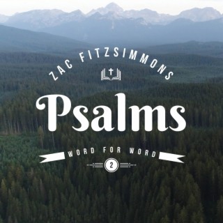 Psalms Word For Word: Volume 2
