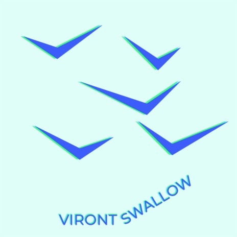 Swallow | Boomplay Music