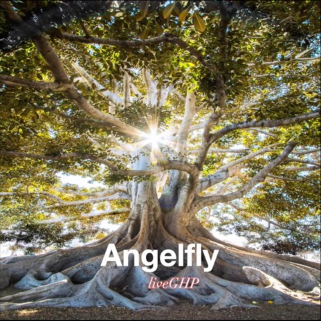 Angelfly | Boomplay Music