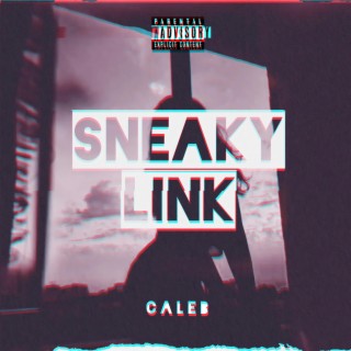 Sneaky Link lyrics | Boomplay Music