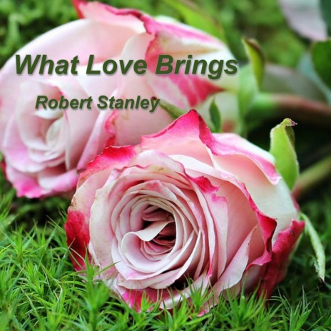 What Love Brings | Boomplay Music