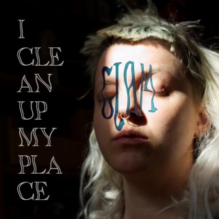 I Clean Up My Place lyrics | Boomplay Music