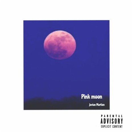 Pink Moon | Boomplay Music