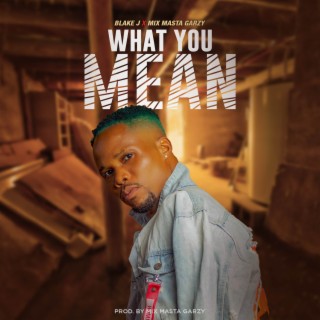 What You Mean
