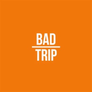 Bad Trip (feat. bėkāh ray)