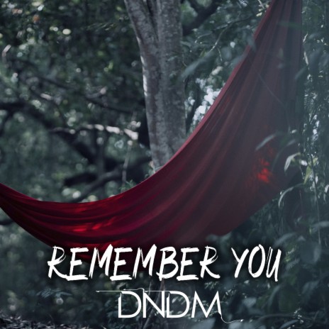 Remember You | Boomplay Music