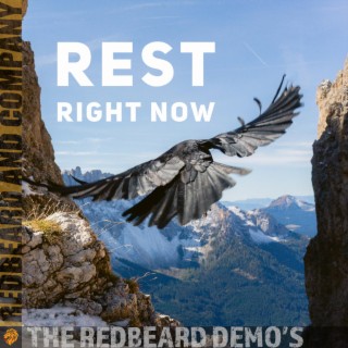 Rest Right Now