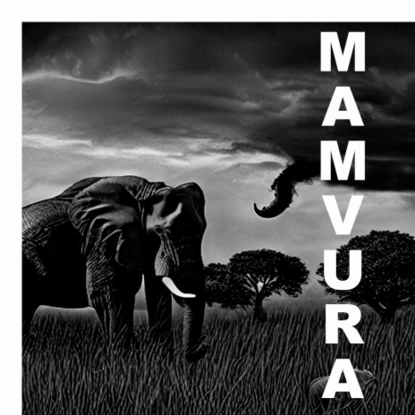 MAMVURA | Boomplay Music