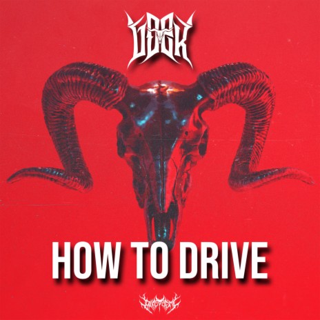 How To Drive