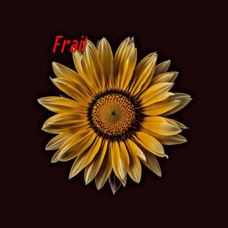 Frail | Boomplay Music