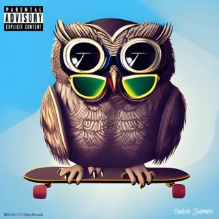 Skateboard Owl