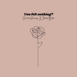 You Felt Nothing? ft. Samuel Harness lyrics | Boomplay Music