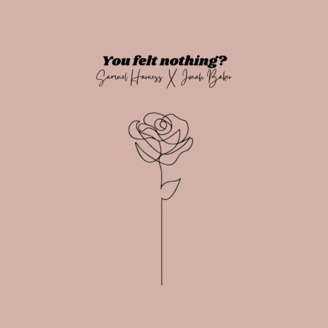 You Felt Nothing? ft. Samuel Harness | Boomplay Music