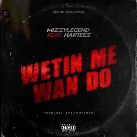 Wetin Me Wan Do ft. Harteez | Boomplay Music
