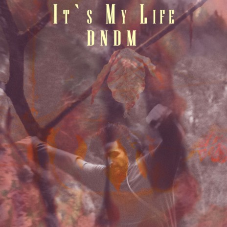 It`s My Life | Boomplay Music
