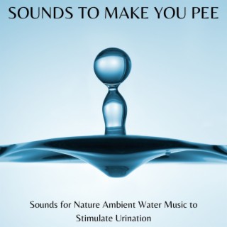 Sounds to Make You Pee: Pee Stimulation Music, Sounds for Nature Ambient Water Music to Stimulate Urination