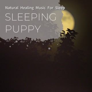 Natural Healing Music for Sleep