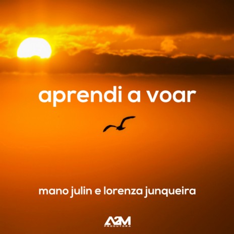 Aprendi a Voar ft. Lorenza Junqueira | Boomplay Music