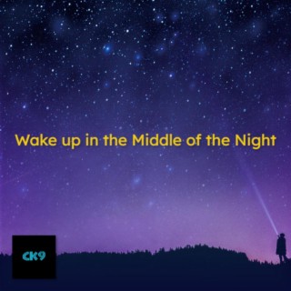 Wake up in the Middle of the Night lyrics | Boomplay Music