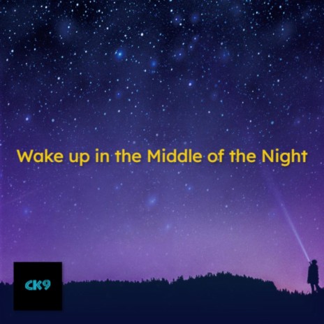 Wake up in the Middle of the Night