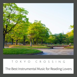 The Best Instrumental Music for Reading Lovers