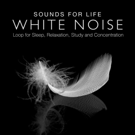 White Noise Loop for Sleep, Relaxation, Study and Concentration | Boomplay Music