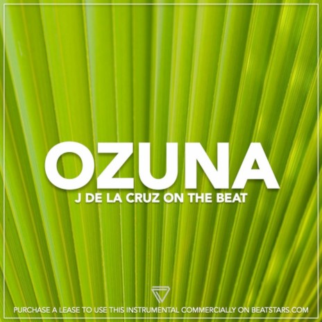 Ozuna (Instrumental) | Boomplay Music