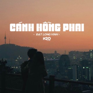 Cánh Hồng Phai (Lofi Ver.)