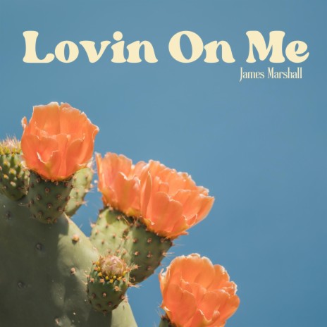 Lovin on Me | Boomplay Music