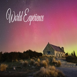 World Experience
