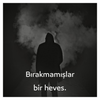 Bırakmamışlar Bir Heves