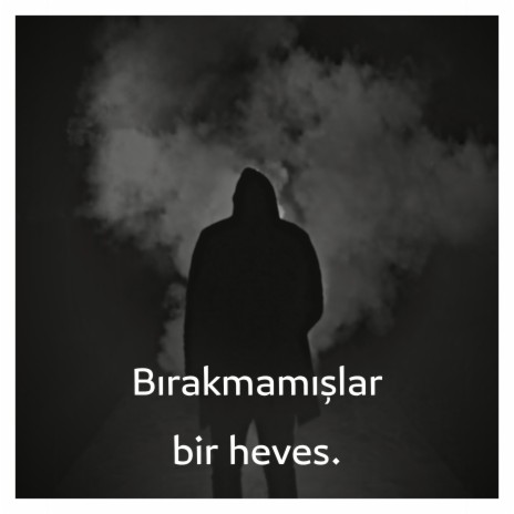 Bırakmamışlar Bir Heves | Boomplay Music