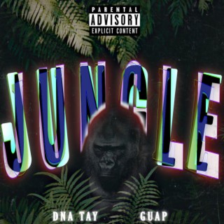 Jungle