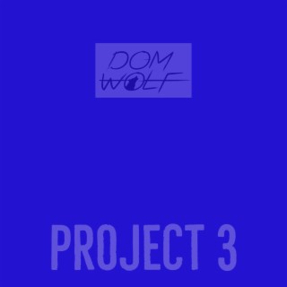 Project 3