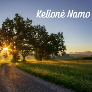 Kelionė Namo