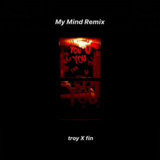 My Mind (Remix) ft. Fin lyrics | Boomplay Music
