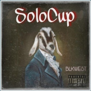 Solo Cup