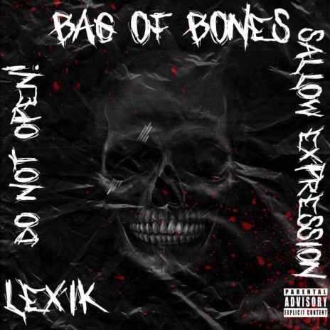 Bag Of Bones (feat. Sallow Expression)